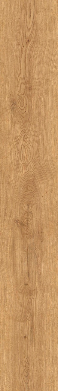 SPC Klick-Vinyl Holzoptik Eiche 22,9x183x0,7cm matt "Timberly Natural" mit Trittschalldämmung