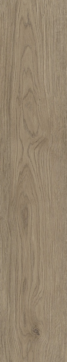 SPC Klick-Vinyl Holzoptik Braun 22,9x122x0,7cm matt "Timberly Topo" mit Trittschalldämmung