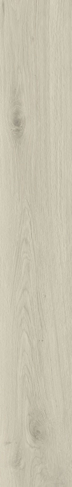 SPC Klick-Vinyl Holzoptik 18,2x122x0,5 cm matt "Sapin White" mit Trittschalldämmung