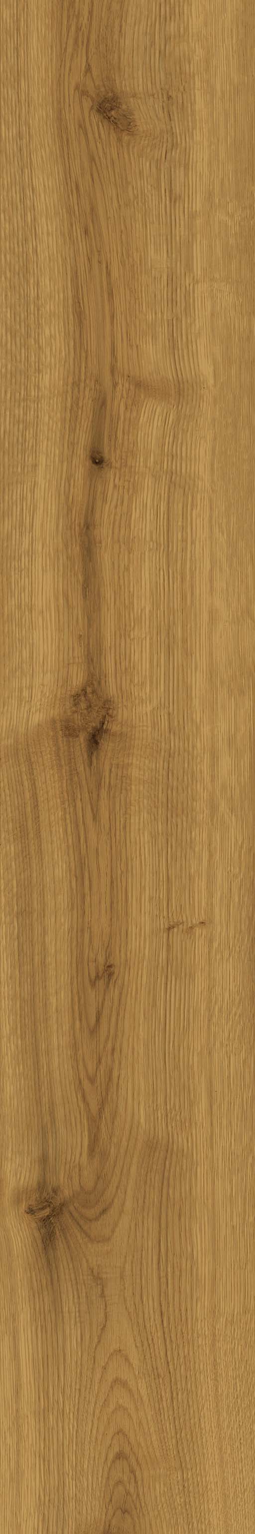 Fliese Holzoptik warme Eiche hellbraun 20x120 cm "Exence Amber" Feinsteinzeug  rektifiziert