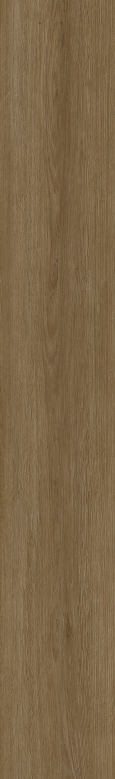 SPC Klick-Vinyl Holzoptik warme Eiche 22,8x154x0,55 cm matt "Betulla Roble" mit Trittschalldämmung