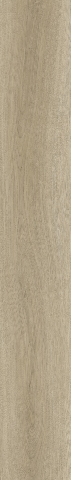 SPC Klick-Vinyl Holzoptik 22,8x154x0,55 cm matt "Betulla Natural" mit Trittschalldämmung