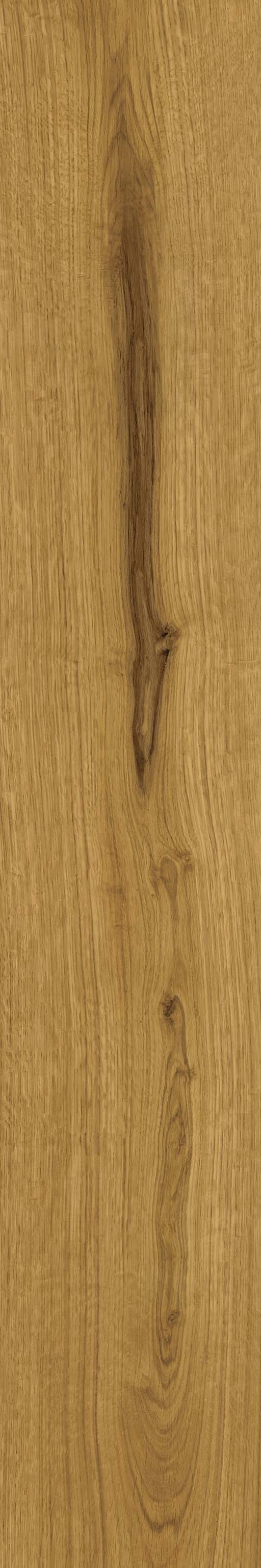 Fliese Holzoptik warme Eiche hellbraun 20x120 cm "Exence Amber" Feinsteinzeug  rektifiziert