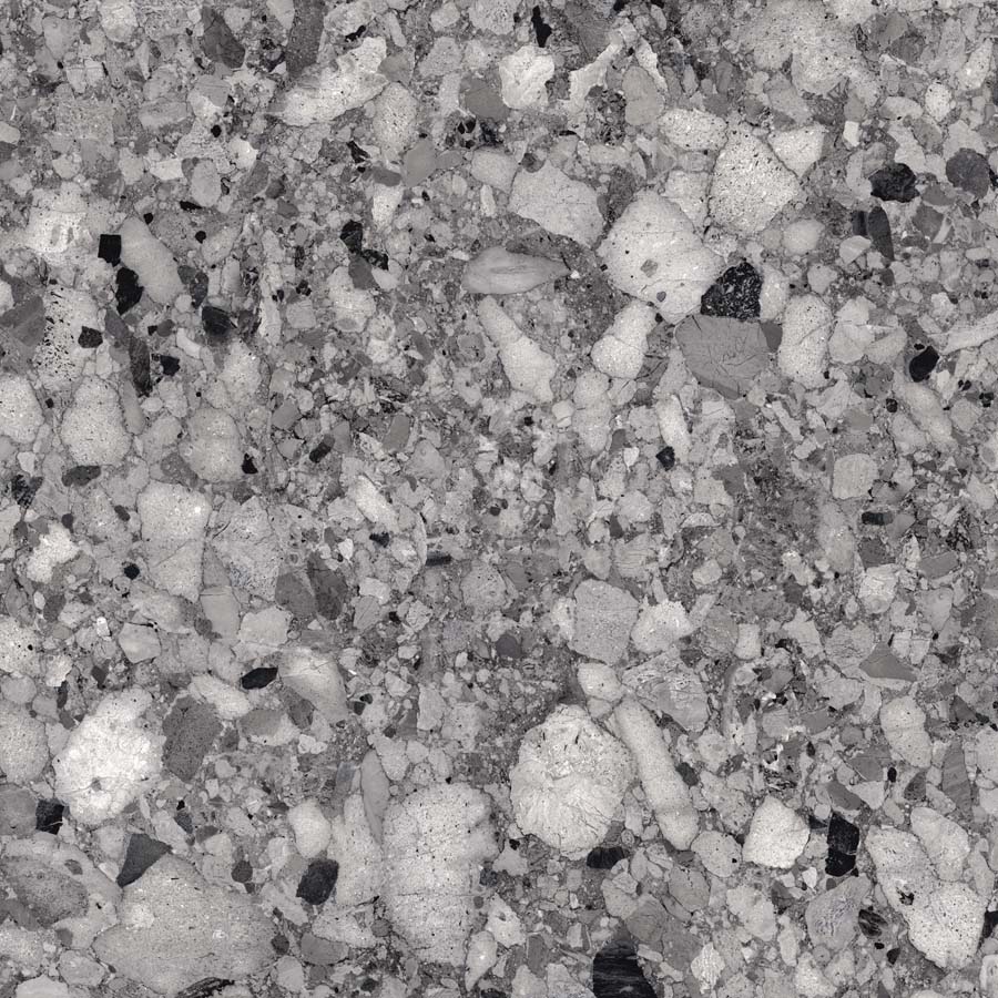 Fliese Terrazzo-Steinoptik dunkelgrau glänzend 120x120 cm "Veni Dark" rektifiziert