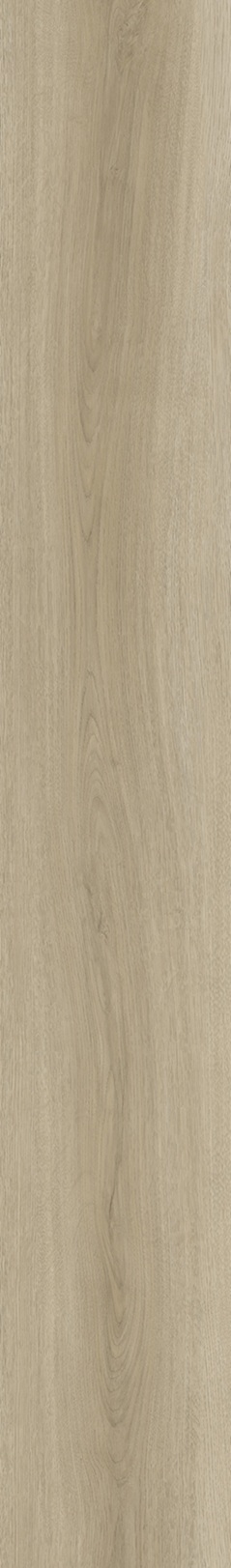 SPC Klick-Vinyl Holzoptik 22,8x154x0,55 cm matt "Betulla Natural" mit Trittschalldämmung
