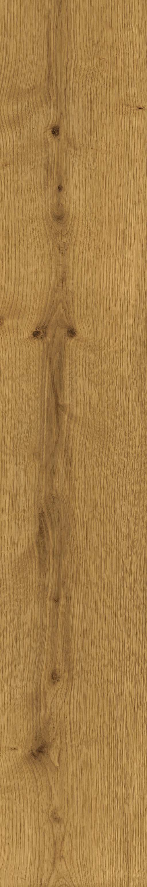 Fliese Holzoptik warme Eiche hellbraun 20x120 cm "Exence Amber" Feinsteinzeug  rektifiziert