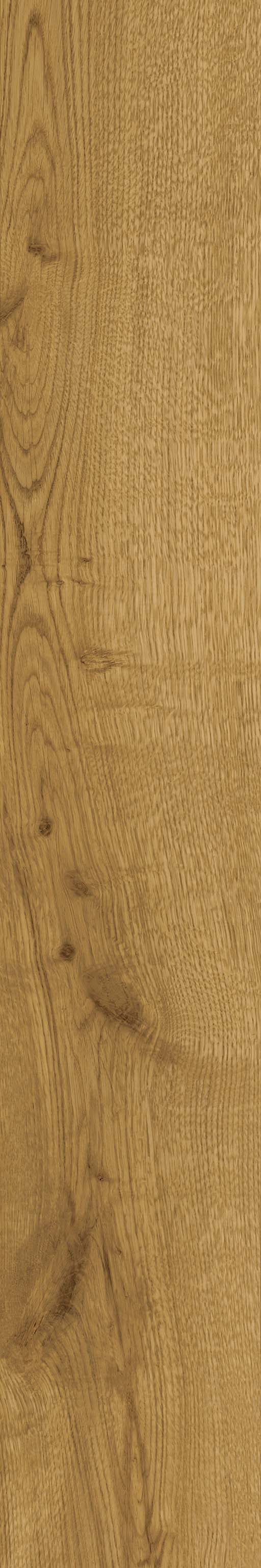 Fliese Holzoptik warme Eiche hellbraun 20x120 cm "Exence Amber" Feinsteinzeug  rektifiziert