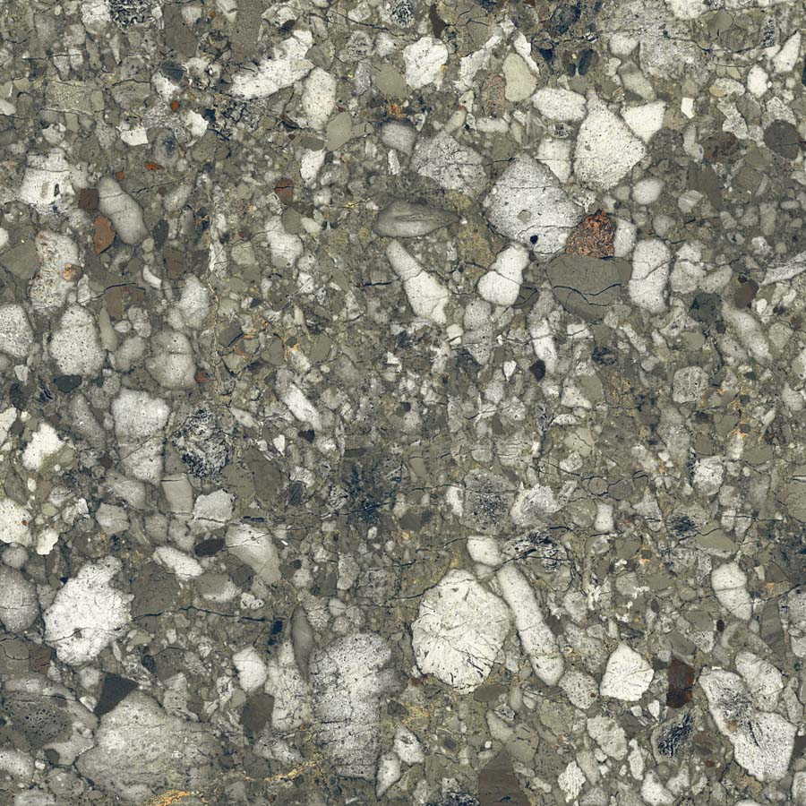 Fliese Terrazzo-Steinoptik grün matt 120x120 cm "Veni Emerald" rektifiziert