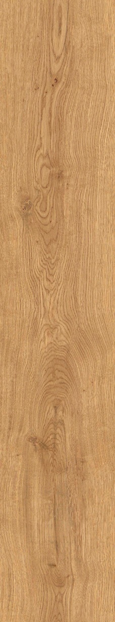 SPC Klick-Vinyl Holzoptik Eiche 22,9x122x0,7cm matt "Timberly Natural" mit Trittschalldämmung