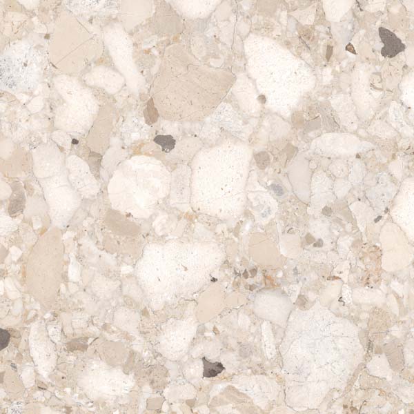 Fliese Terrazzo-Steinoptik beige matt 60x60 cm "Veni Beige" rektifiziert 
