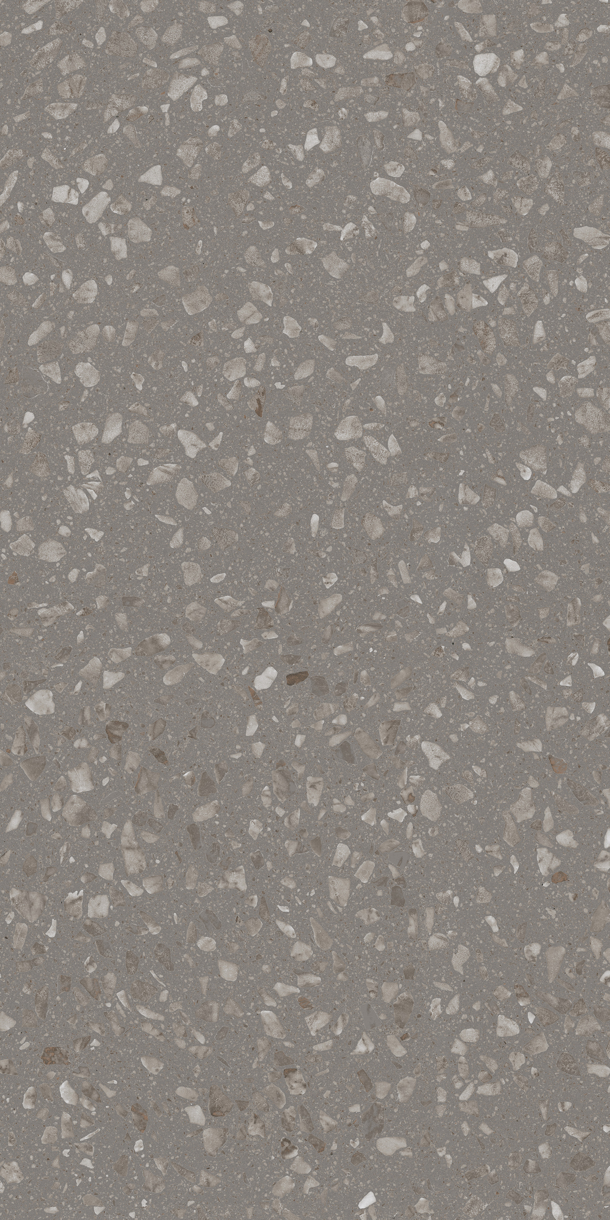 Freisteller der Sant Agostino Glow Grey im Format 60x120 cm mit grauem Grundton und feiner Terrazzo-Optik aus hellen und graubeigen Gesteinssplittern