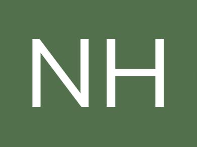 Bloggerin NH
