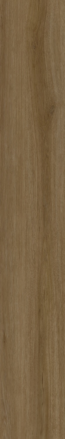 SPC Klick-Vinyl Holzoptik warme Eiche 22,8x154x0,55 cm matt "Betulla Roble" mit Trittschalldämmung