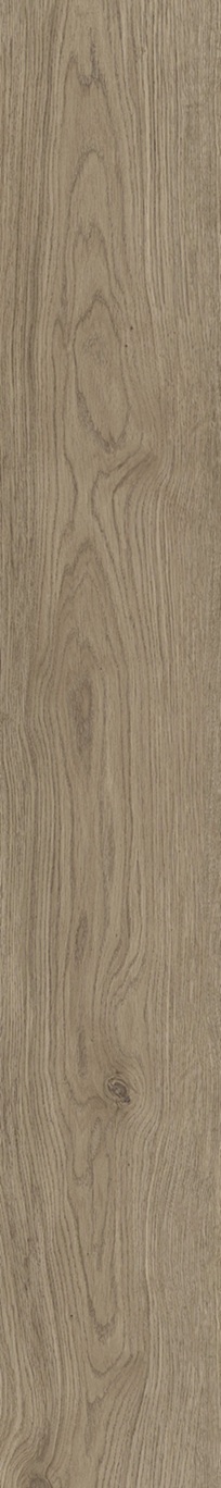 SPC Klick-Vinyl Holzoptik Braun 22,9x152,4x0,7cm  matt "Timberly Topo" mit Trittschalldämmung