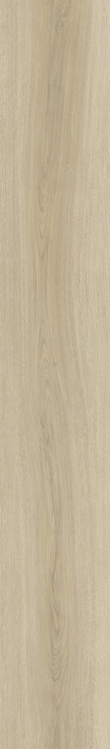 SPC Klick-Vinyl Holzoptik Birke 22,8x154x0,55 cm matt "Betulla Bone" mit Trittschalldämmung