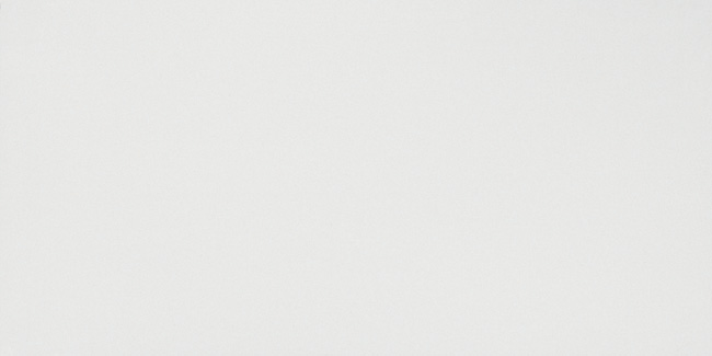 Wandfliese weiß matt 40x80 Solid White Atlas Concorde bei Fliesenprofi kaufen