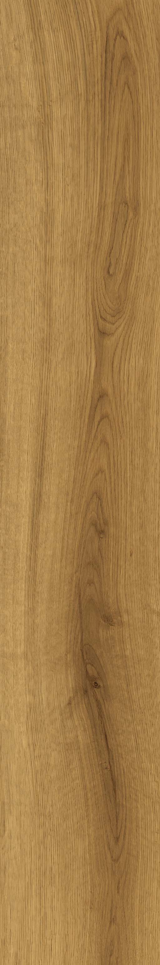 Fliese Holzoptik warme Eiche hellbraun 20x120 cm "Exence Amber" Feinsteinzeug  rektifiziert