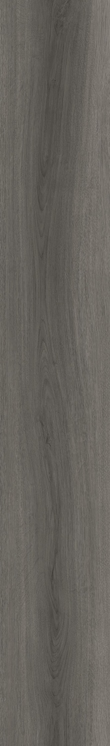 SPC Klick-Vinyl Holzoptik 18,2x122x0,5 cm matt "Betulla Grey" mit Trittschalldämmung