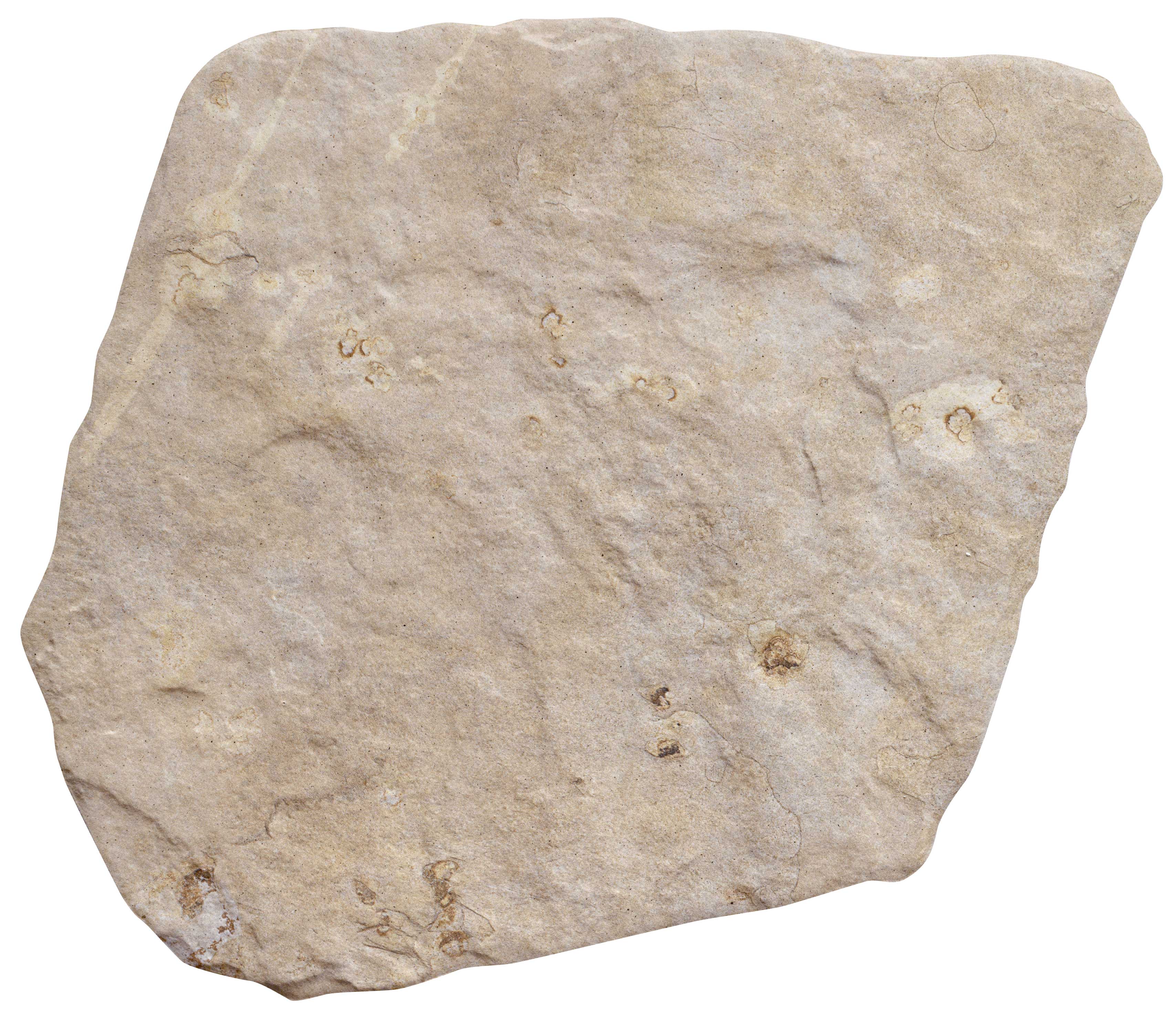Polygonalplatten Feinsteinzeug braun-beige 28,5x33x1cm "Cuzco Multi"