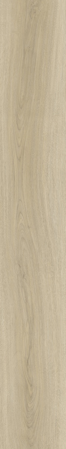 SPC Klick-Vinyl Holzoptik Birke 22,8x154x0,55 cm matt "Betulla Bone" mit Trittschalldämmung